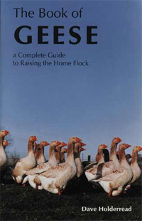 The Book of Geese by Dave Holderread