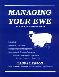 Managing Your Ewe  by Laura Lawson