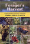 The Forager's Harvest