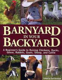 Barnyard In Your Backyard by Gail Damerow