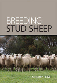 Breeding Stud Sheep by Murray Long