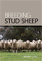 Breeding Stud Sheep