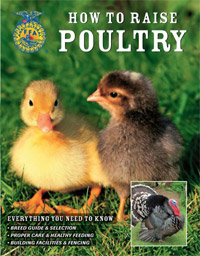 How to Raise Poultry by Christine Heinrichs