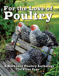 For the Love of Poultry by 