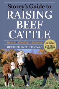 Storey's Guide to Raising Beef Cattle, 3rd Edition by Heather Thomas Smith
