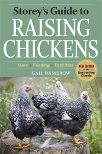 Storey's Guide to Raising Chickens<br>3rd Edition by Gail Damerow