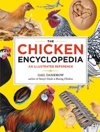 The Chicken Encyclopedia by Gail Damerow