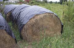 Hay bale covers cut out more than half of outdoor-stored hay rot. (Photo by John Kirchhoff)
