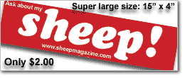sheep! Bumper Sticker