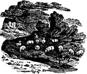 4. Cut Your Feed Costs By Using All Available Pasture