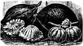 5. Consider Supplemental Feed Sources To Cut Costs