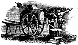 6. Clean, Fresh Water Should Always Be Available