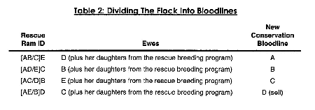 Table 2: Dividing the flock into bloodlines