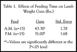 Effects of feeding time on lamb weight gain