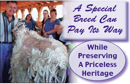 A Special Breed Can Pay Its Way While Preserving A Priceless Heritage