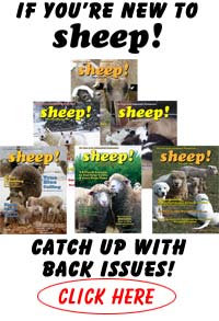 Click Here for sheep! magazine back issues