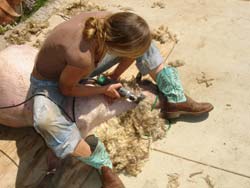 14. Finishing up the jaw, throat and chest.